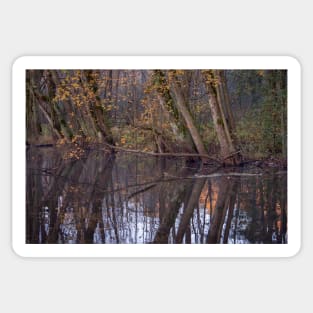 Autumn on the river Sticker